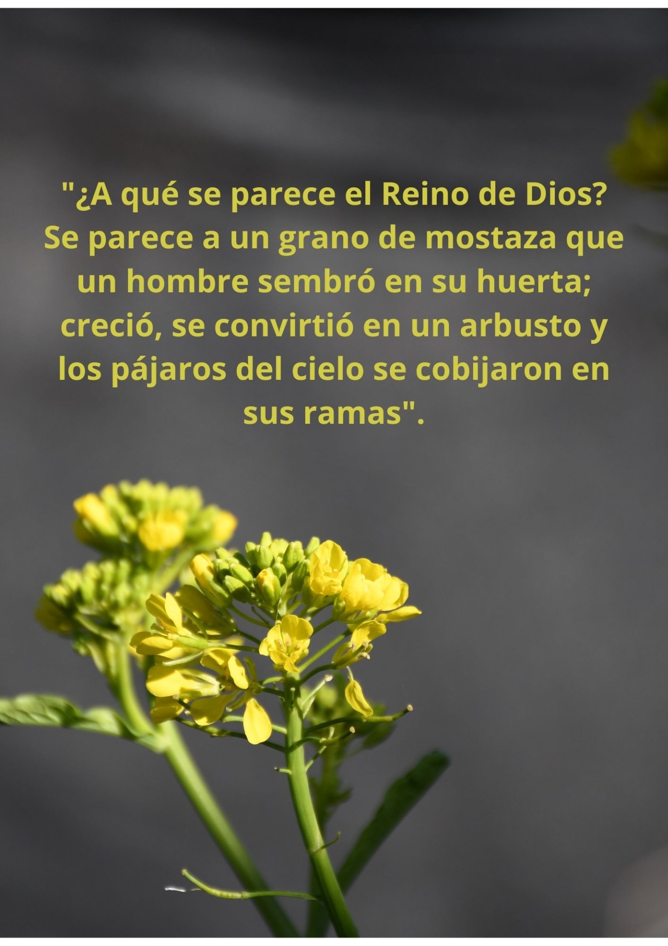 DEL EVANGELIO DE HOY Diócesis Florida